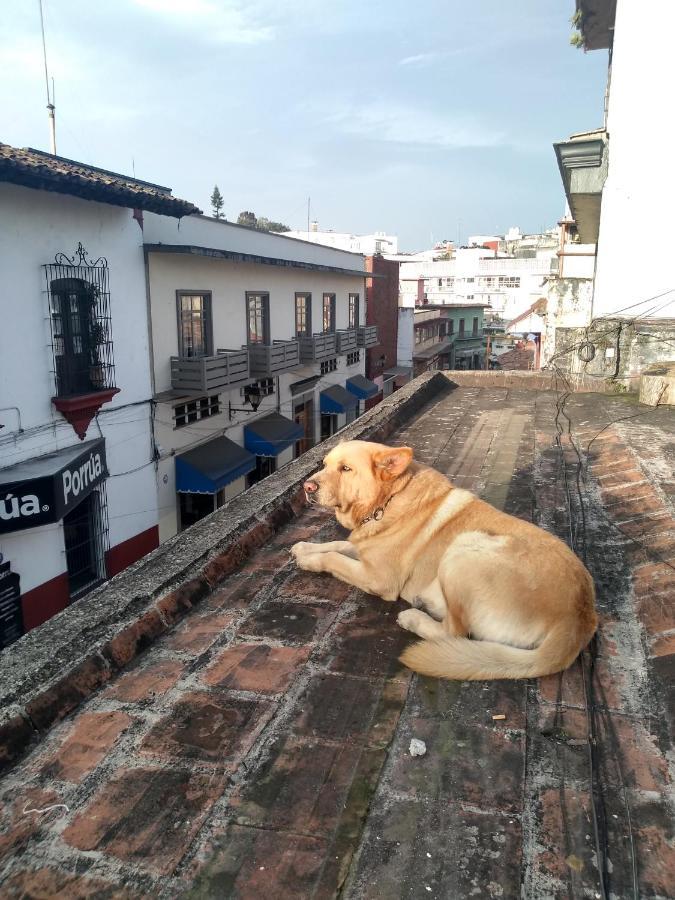 Hostal 50 Xalapa Eksteriør billede